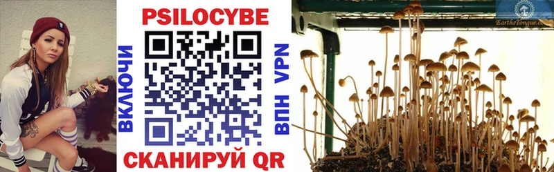 Галлюциногенные грибы Psilocybine cubensis Обь